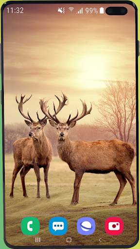 Deer Wallpaper HD screenshot 3