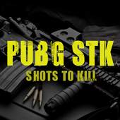 PUBG - Shots to Kill 1.3