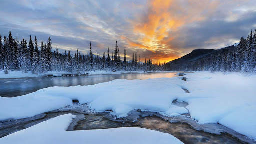 Winter Wallpapers : backgrounds hd screenshot 12