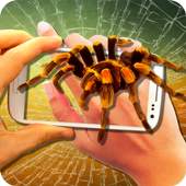Spider on Hand. Camera Prank 1.5