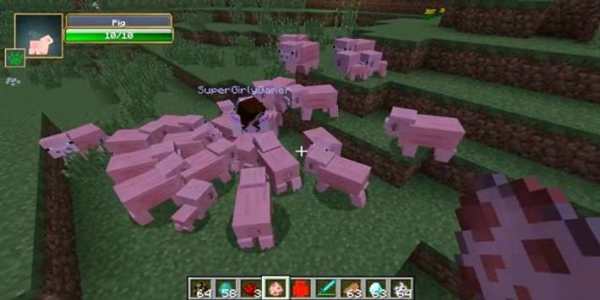 Pet Mod for Minecraft PE screenshot 3