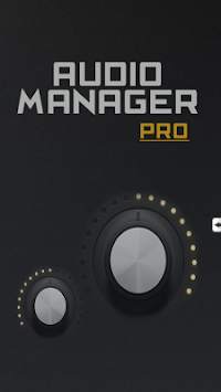 Audio Manager Pro screenshot 5