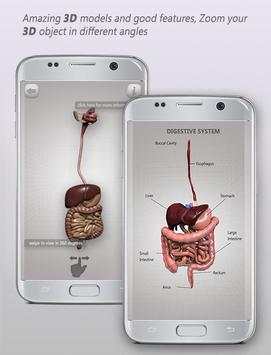 Human Anatomy 3D: Male body structure screenshot 3