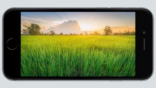 Camera Pro - Best Autofocus screenshot 1