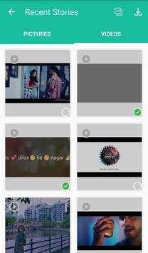 Story Saver screenshot 2