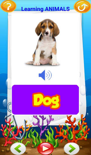 Educational Games For Kids - ABC, 123, Animals screenshot 5