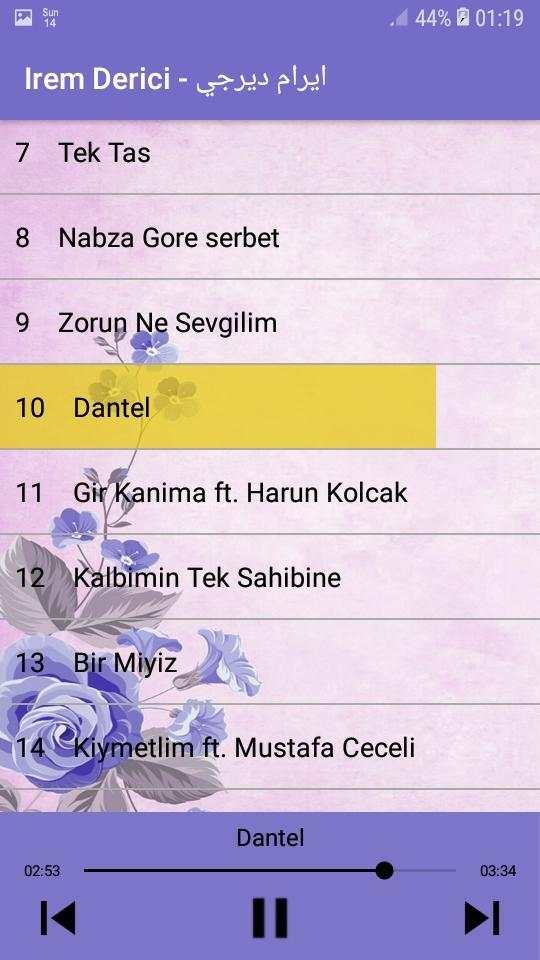 İrem Derici - Best 20 songs - ايرام ديرجي screenshot 3