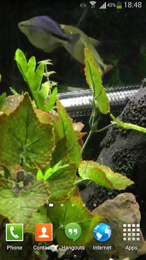 Fish Live Wallpaper HD 2 screenshot 3