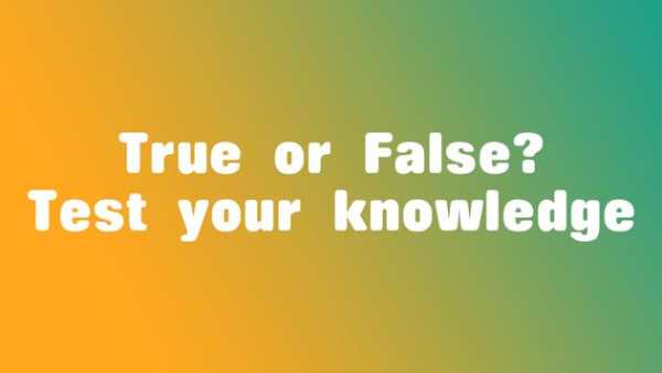 TrueOrFalse : The Titanic History скриншот 2