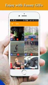 Funny GIFs screenshot 6