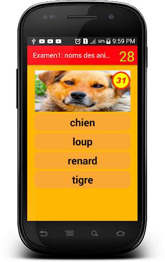 Examen 1 : noms des animaux screenshot 7