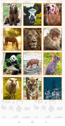 Animal Puzzle Game screenshot 5