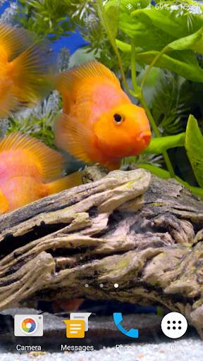 Aquarium 4K Live Wallpaper screenshot 5
