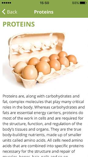 Food Nutrition Table screenshot 4