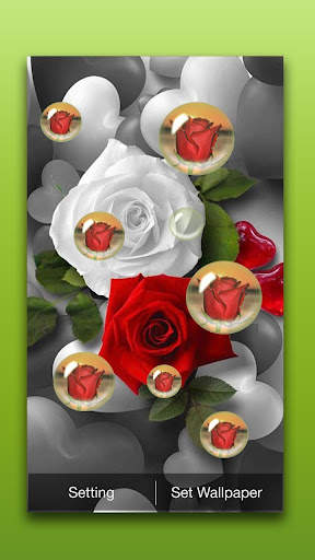 3D Rose Live Wallpaper screenshot 2