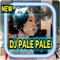 DJ BUKAN PALE PALE REMIX