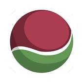 Gully Cricket Scorer 2.3.1