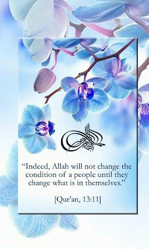 Islamic Truth Quotes screenshot 12