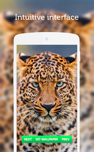 Leopard Wallpaper screenshot 2