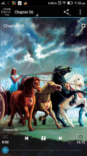 Bhagavad Gita Marathi Audio screenshot 8