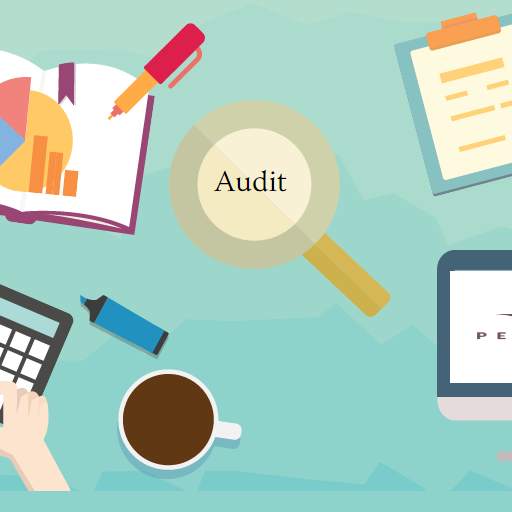Auditing 1.3