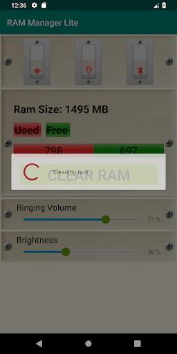 Ram Manager Lite screenshot 2