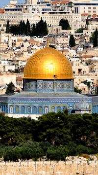 Palestine Wallpapers HD screenshot 3