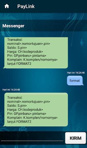 PayLink скриншот 5