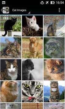 CatBG: Cat Wallpapers screenshot 1