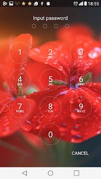 Security Lockscreen Password screenshot 4