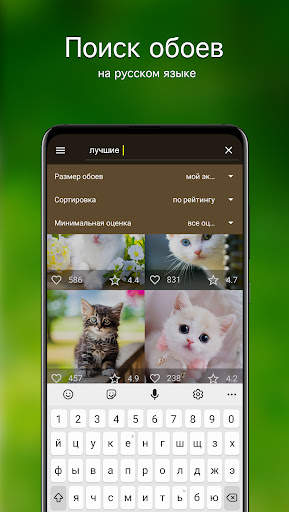 Обои котята | Котики от 7Fon скриншот 3