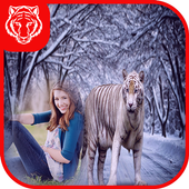 Tiger Photo Frames icon