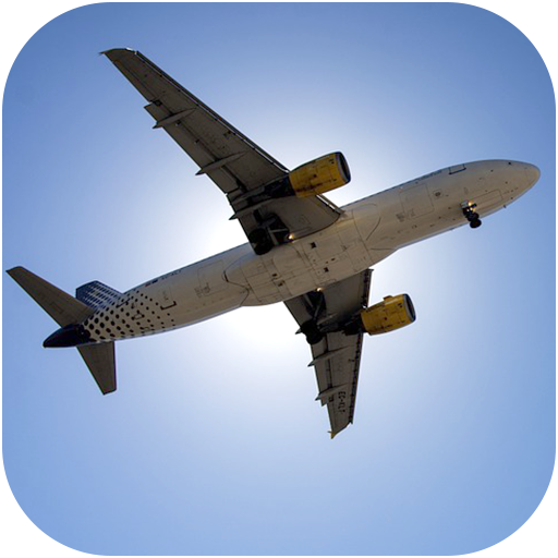 ikon Airplane Flight Simulator