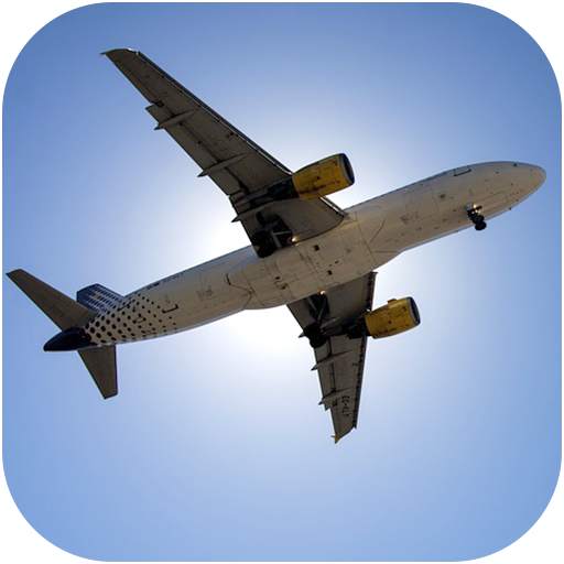 Airplane Flight Simulator 1.0