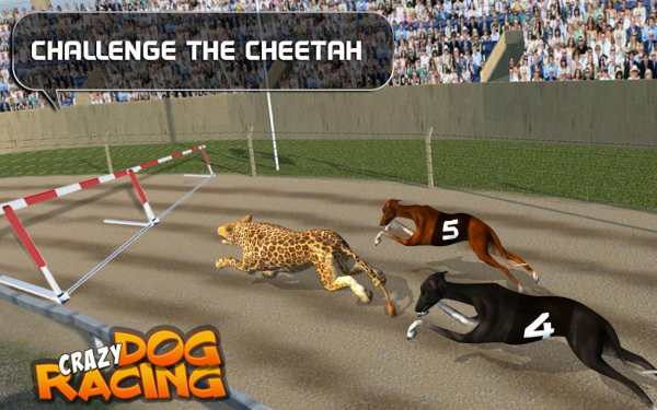 Crazy Dog Racing screenshot 3