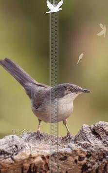 Birds Zipper Lock Screen screenshot 10