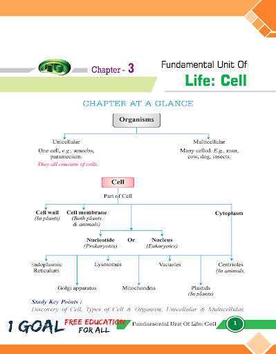 Bio Class 9 screenshot 3