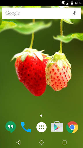 Red Strawberry Live Wallpaper screenshot 6