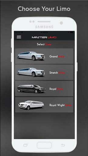 Master Limo screenshot 2
