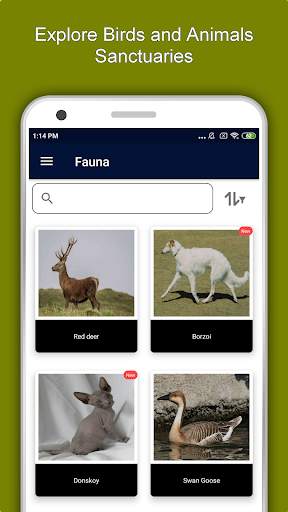 Volgograd Travel & Explore, Offline City Guide screenshot 5