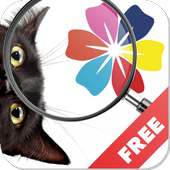 Find a cat - play with your friends! logo