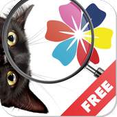 Find a cat - play with your friends! 0.0.2