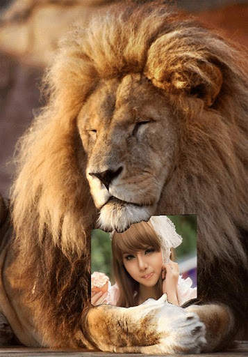 Animal Photo Frames screenshot 5