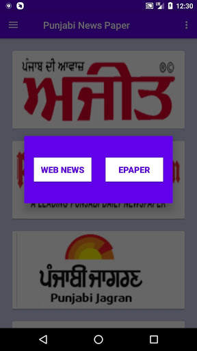 Punjabi News Papers - ePapers screenshot 6