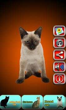Talking Cat screenshot 8