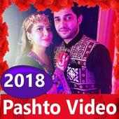 Pashto Song -Pashto Video, gana, song, naat 🎬 logo