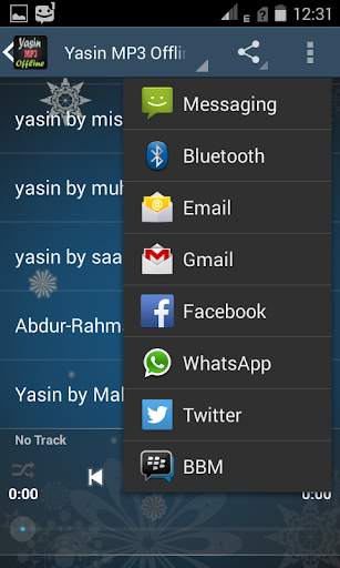 Yasin MP3 Offline By Ten Imam screenshot 5
