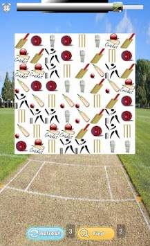 C for Cricket screenshot 2
