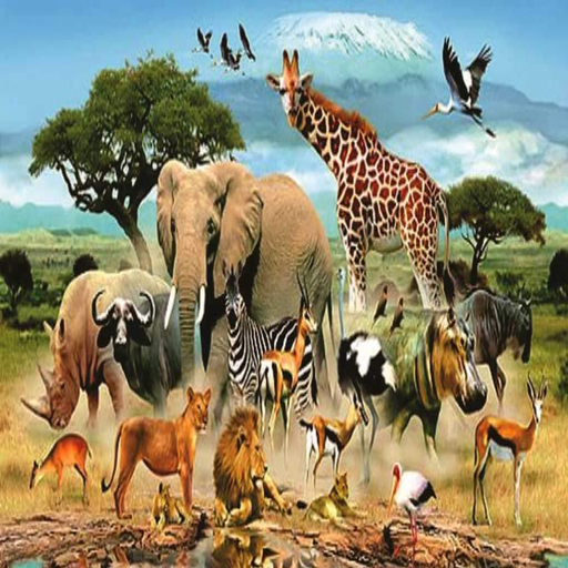 Animal sounds-أصوات حيوانات icon