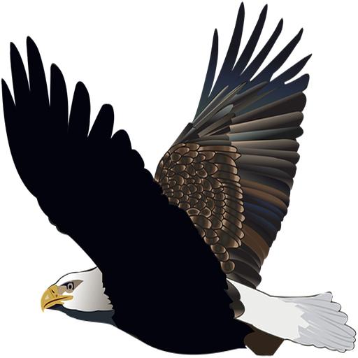 App H&amp;H icon